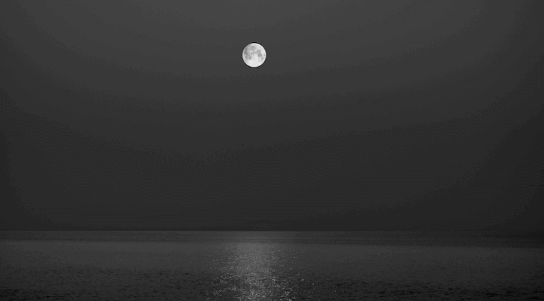 様式を外れた型破りのソナタ「月光」(ベートーヴェン)を解説！